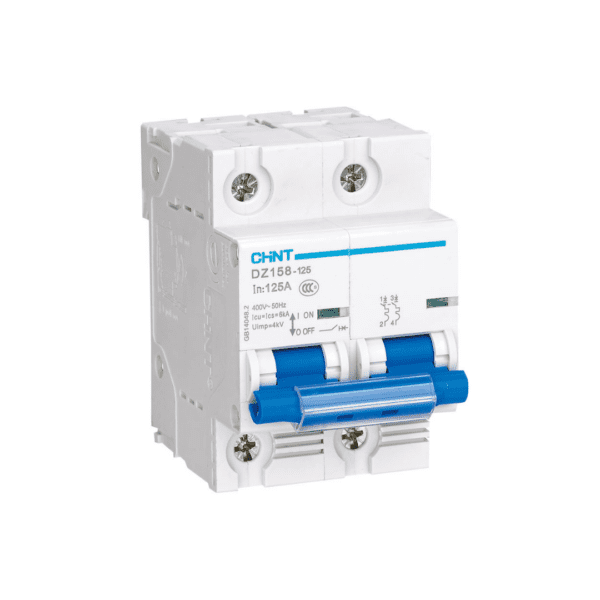 6kA 2P 100A Circuit Breaker C-Curve AC/DC